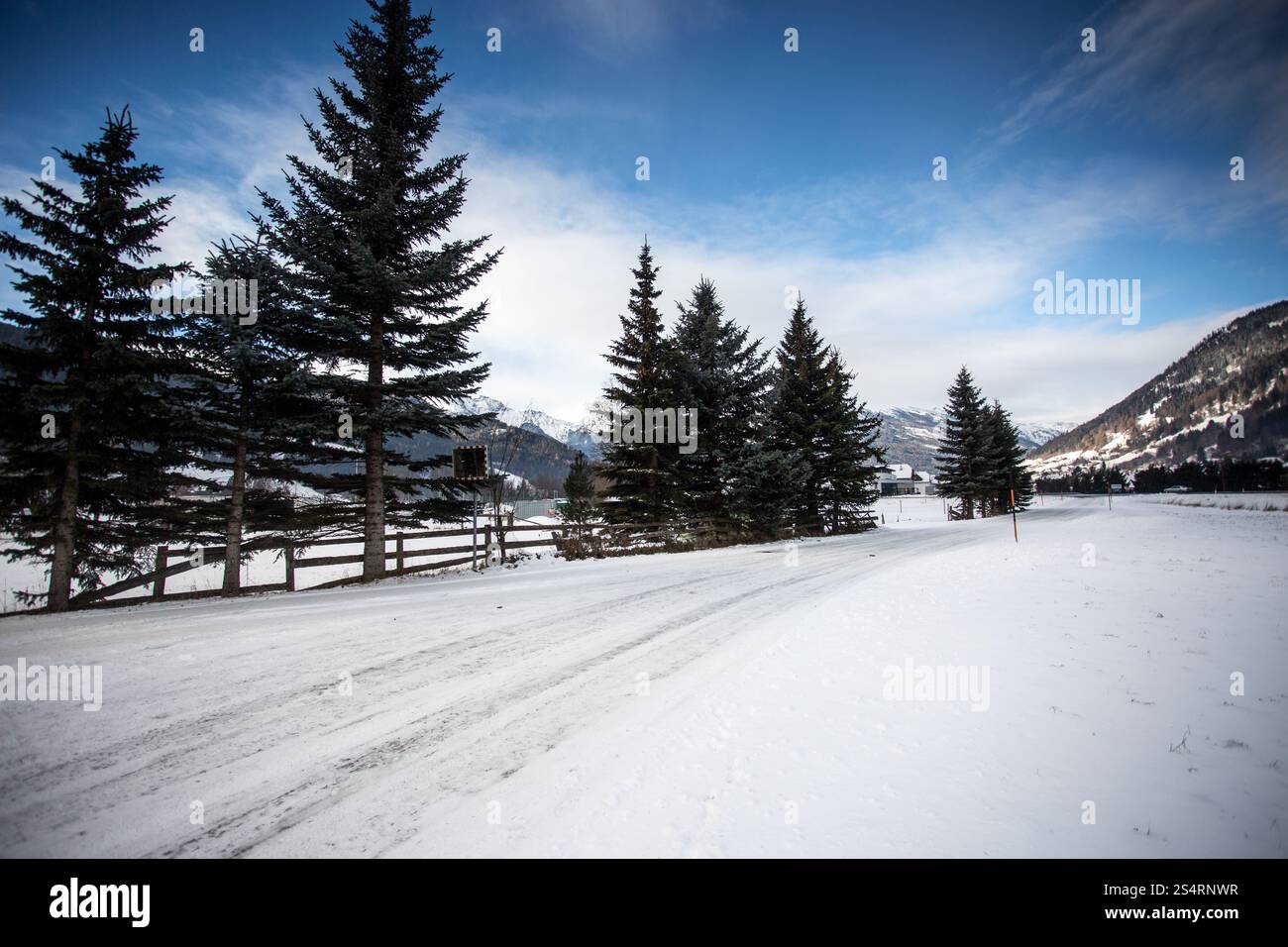 Bella strada coperta di neve in pineta Foto Stock