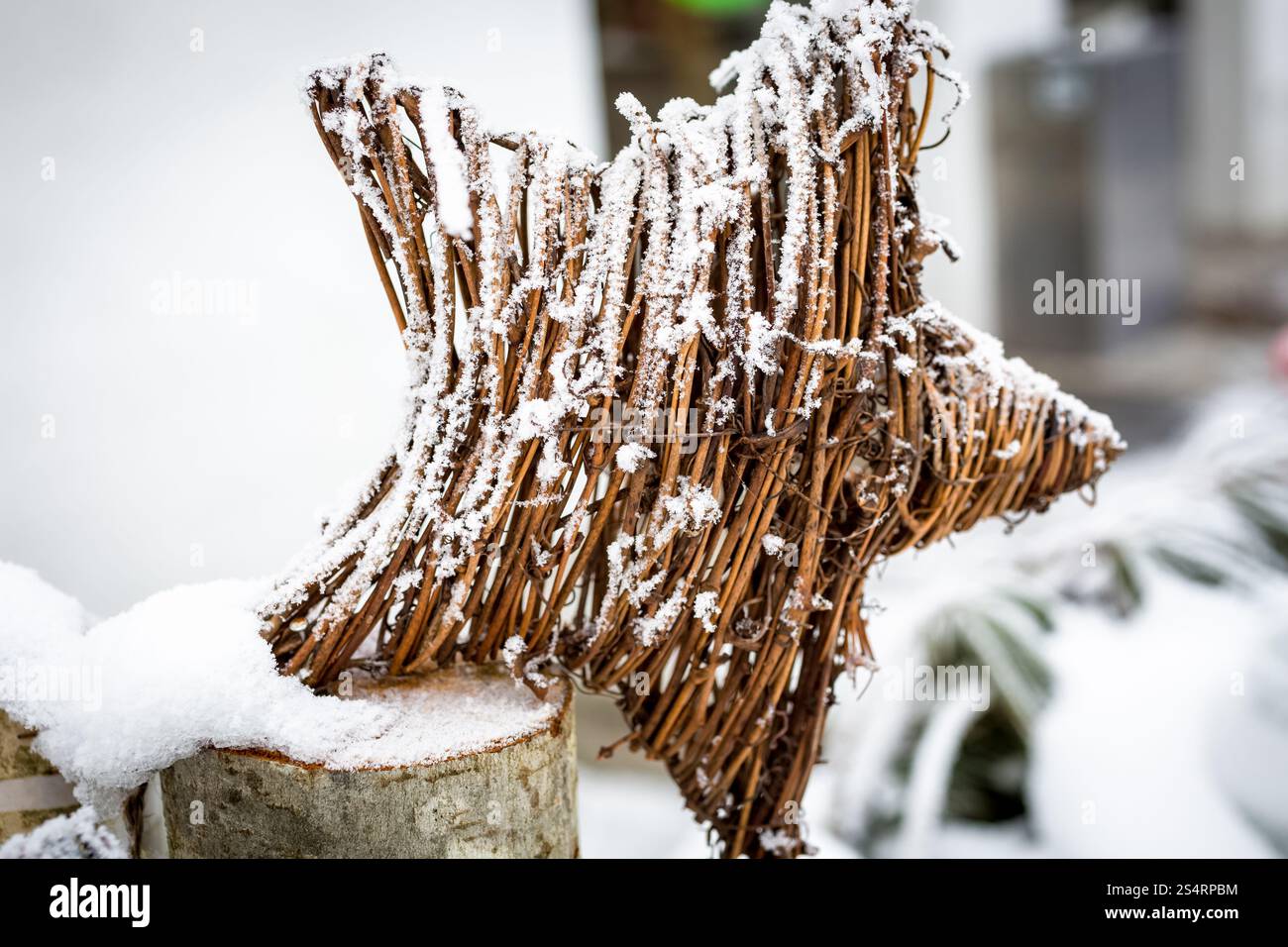 Primo piano della stella decorativo fatto di ramoscelli RICOPERTA DA BRINA Foto Stock