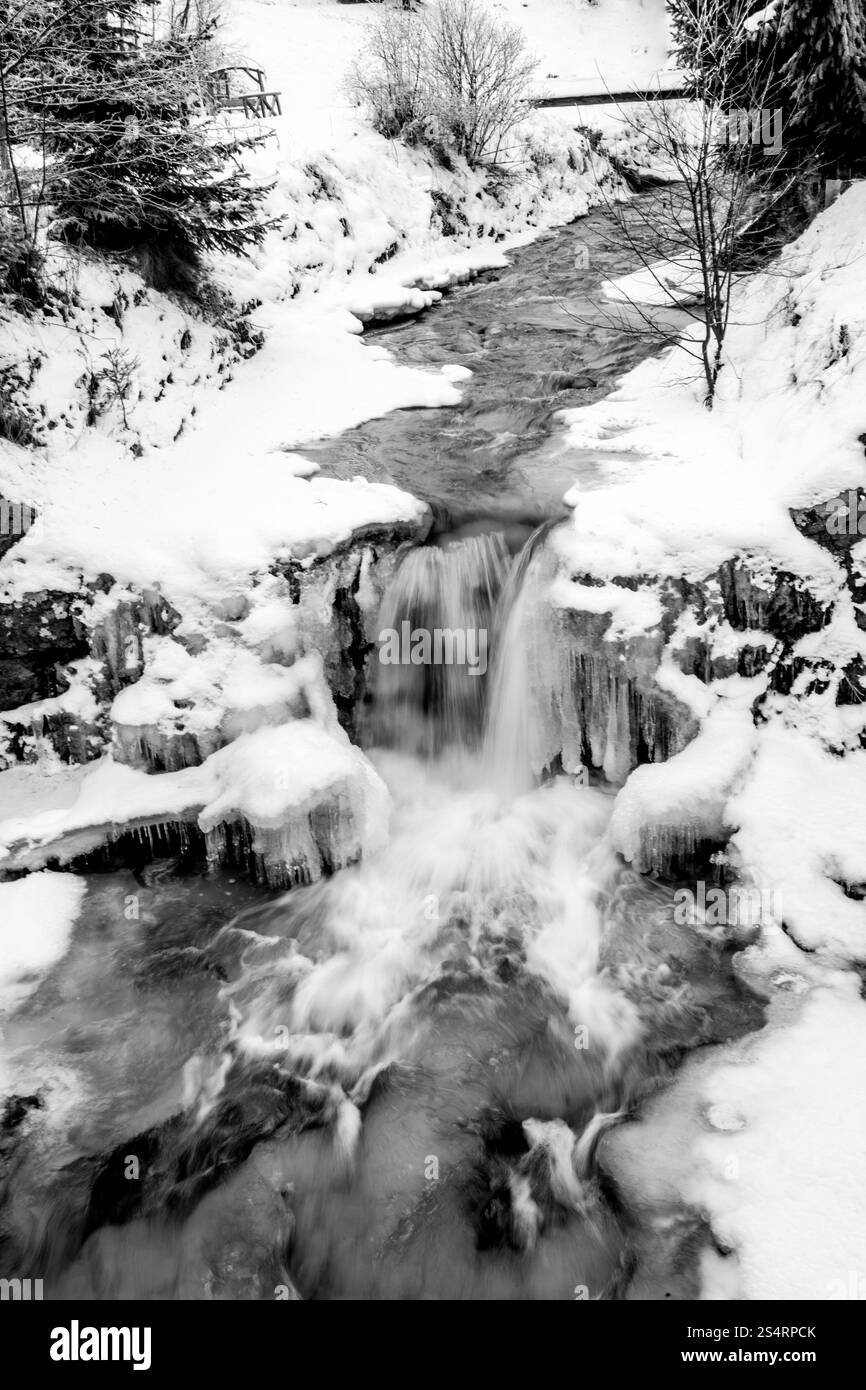Foto in bianco e nero di veloce fiume di montagna a boschi innevati Foto Stock