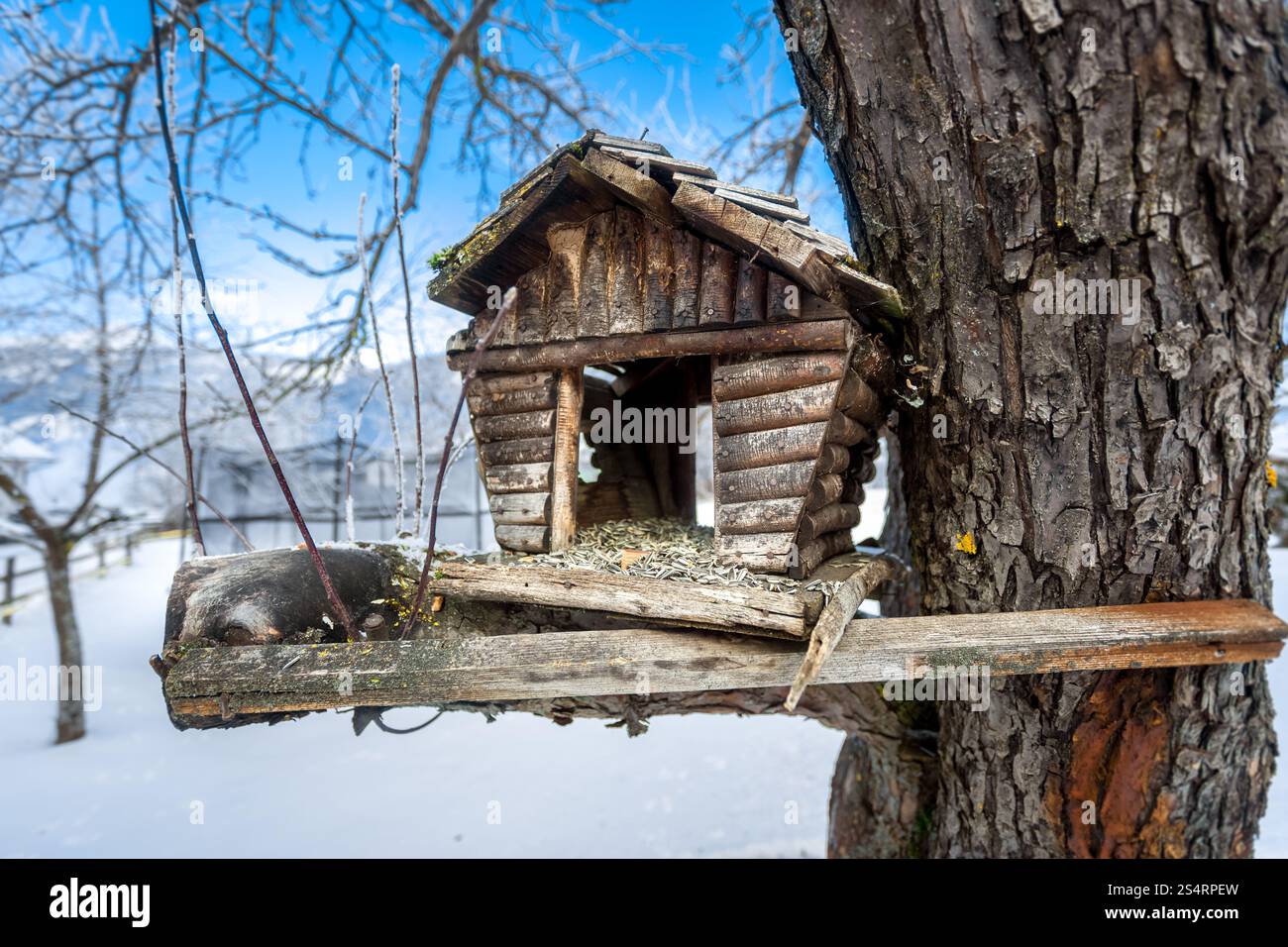 Primo piano della vecchia fatti a mano scatola di nidificazione su albero a nevoso inverno giorno Foto Stock