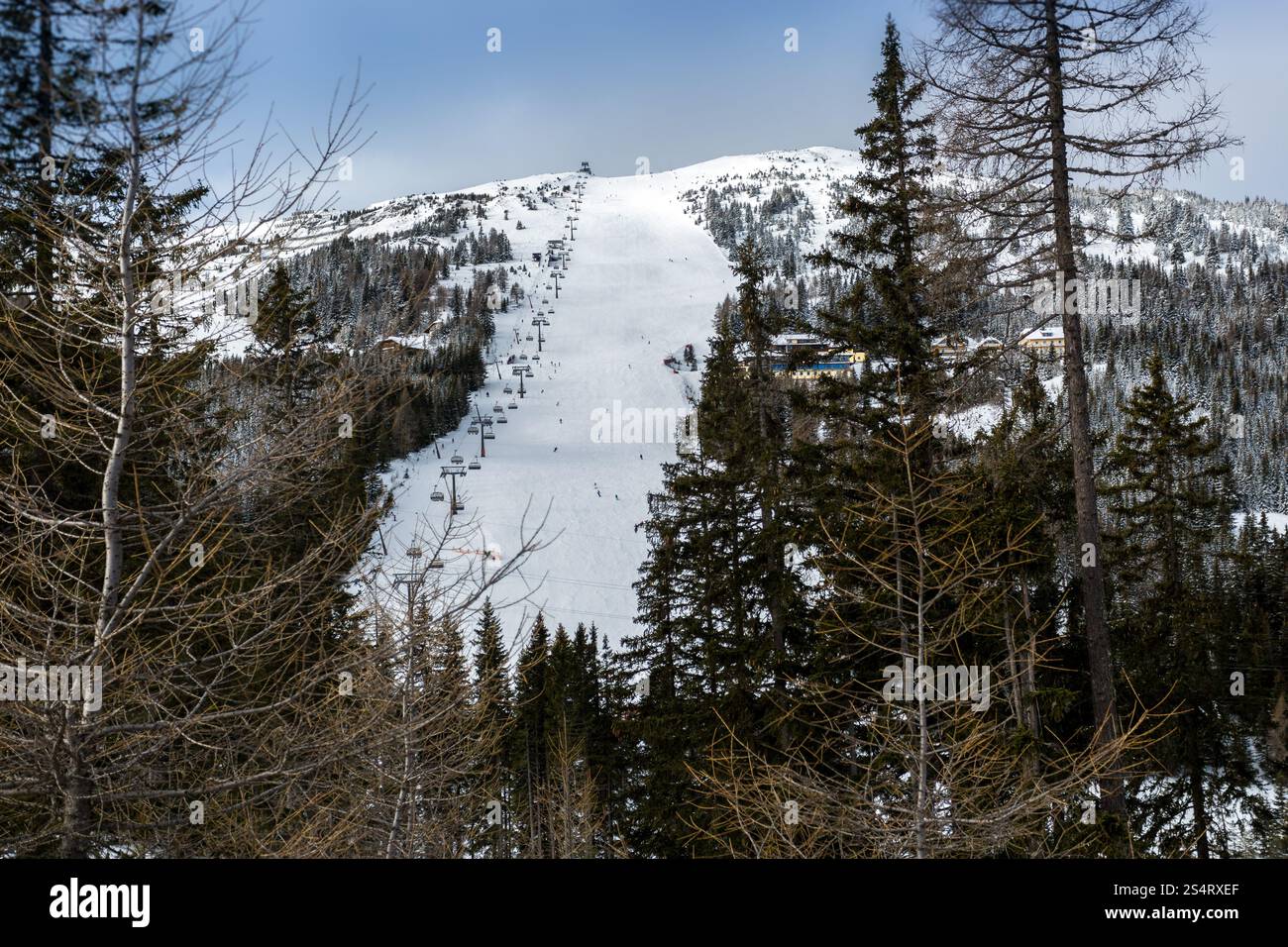 Il bellissimo panorama della grande pista da sci oh alta montagna circondata da abeti rossi Foto Stock