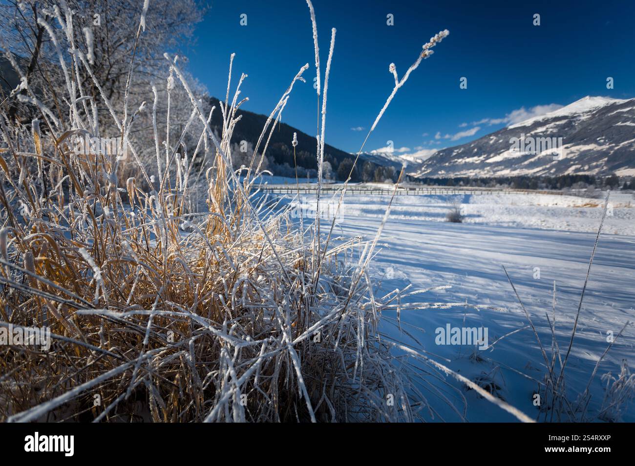 Paesaggio Invernale del campo Highland a Alpi austriache Foto Stock