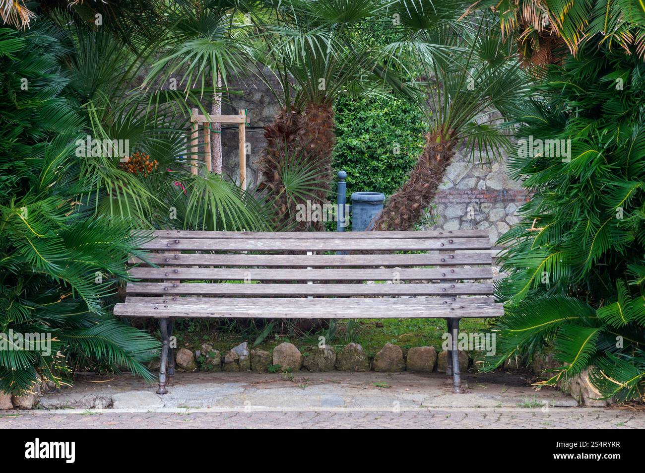 Panca vuota e palme per ventilatori in un parco pubblico, celle Ligure, Liguria, Italia Foto Stock