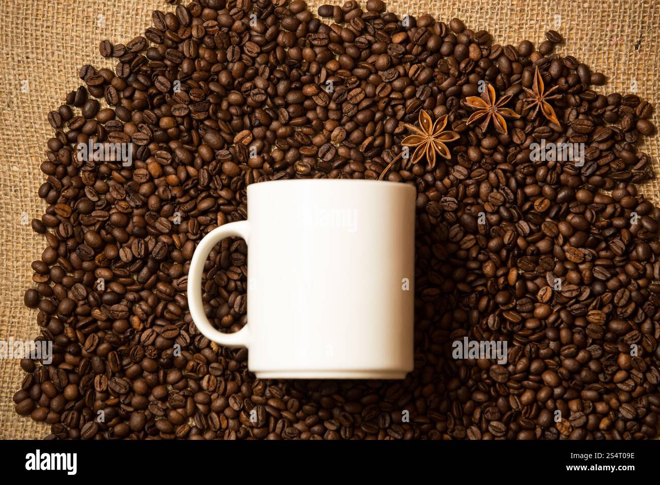 Closeup colpo di bianco contro la tazza di caffè sfondo con anice stellato Foto Stock