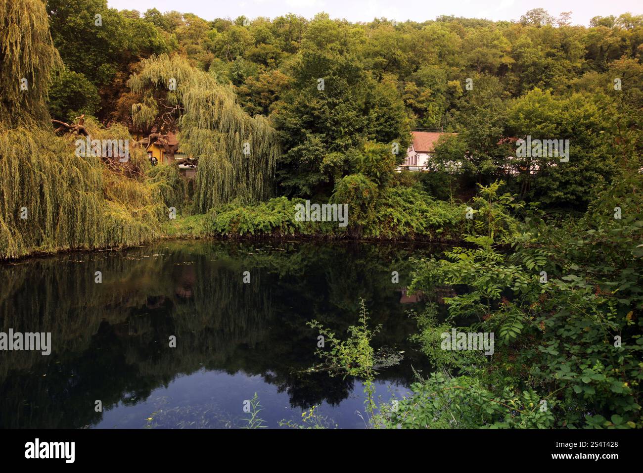 Il fiume Reno presso la vecchia città di Waldshut nel Blackforest nel sud della Germania in Europa. Foto Stock