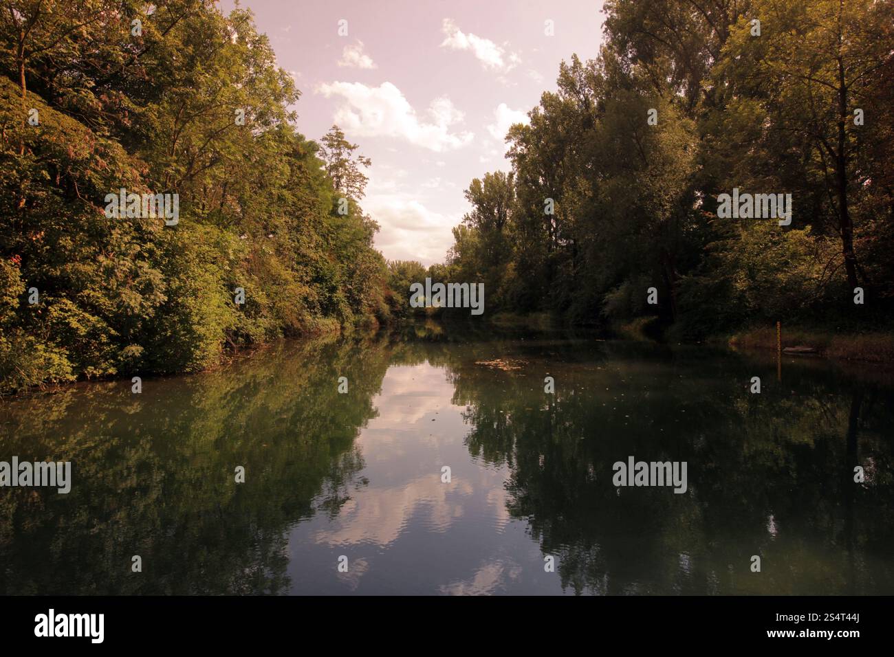 Il fiume Reno presso la vecchia città di Waldshut nel Blackforest nel sud della Germania in Europa. Foto Stock