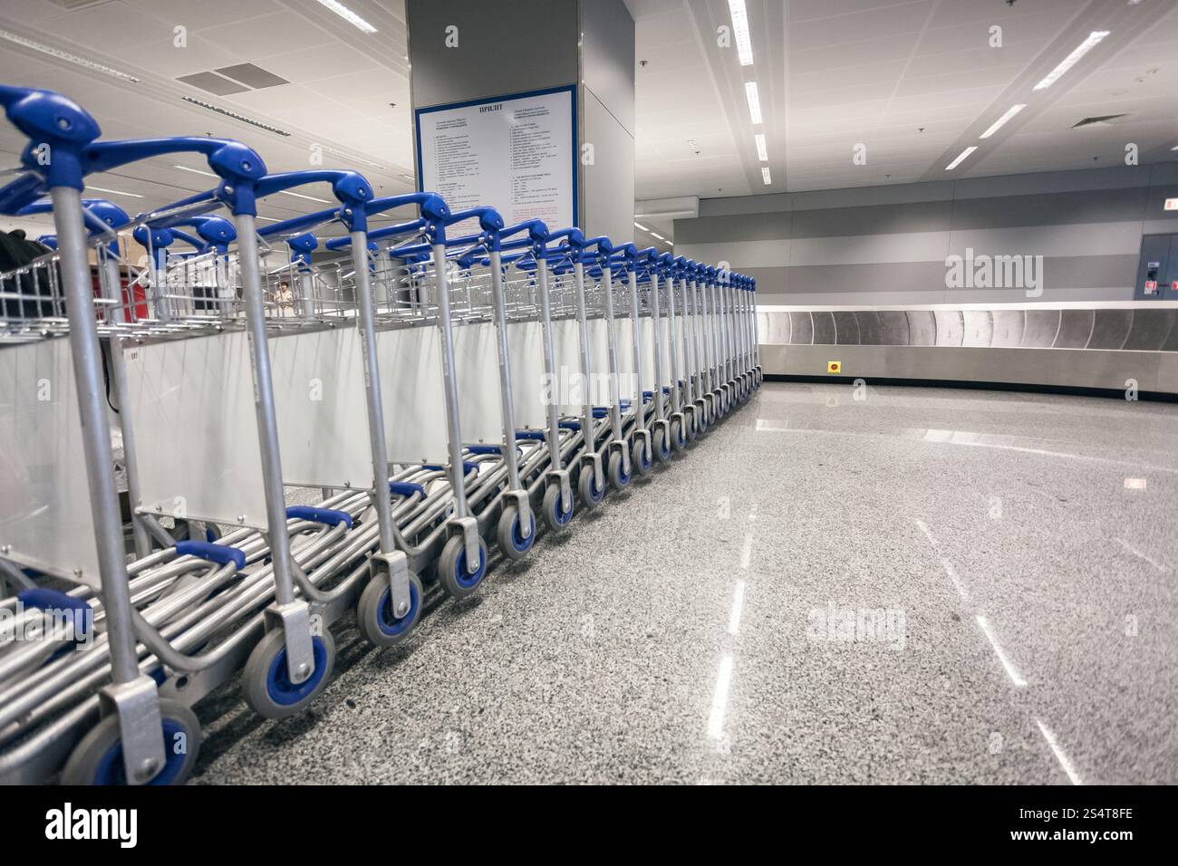 Fila di carrelli bagagli al terminal di arrivo in aeroporto Foto Stock