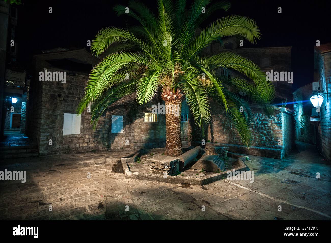 Bella foto notturna del grande albero di palme che cresce su una vecchia strada stretta Foto Stock