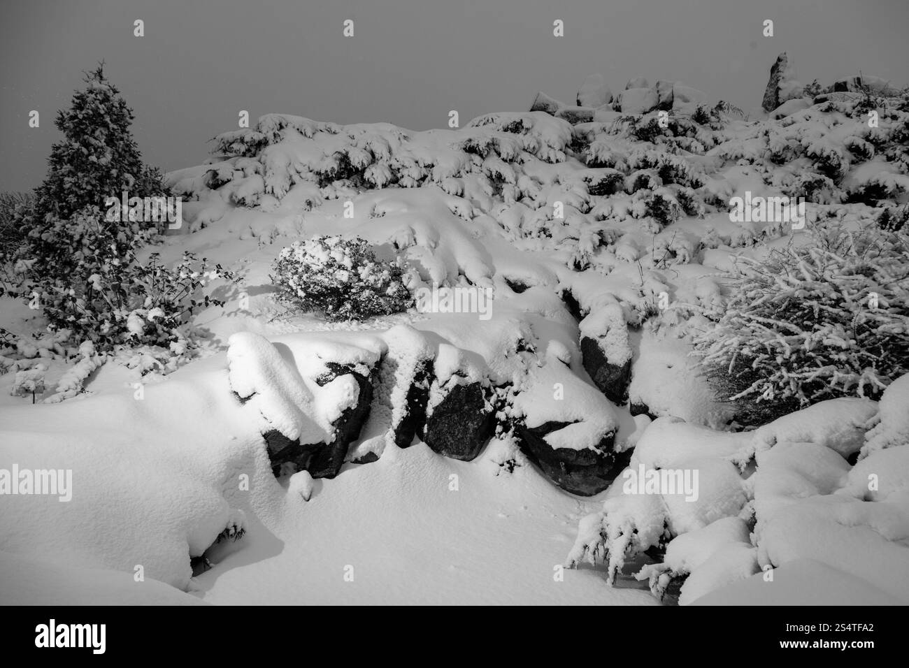 Colpo all'aperto delle scogliere dei Carpazi coperto di neve a sera Foto Stock