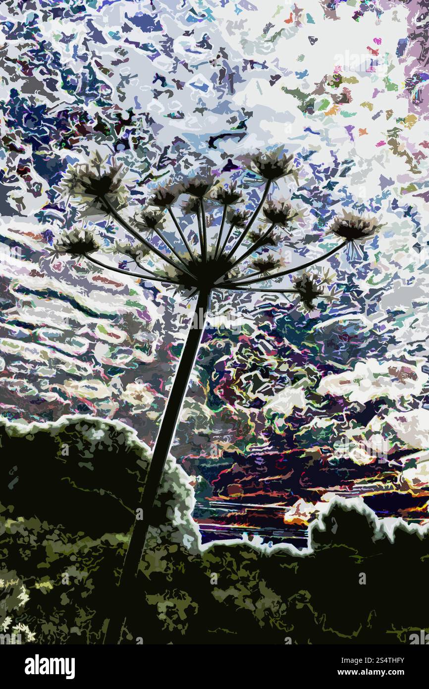 Arte paesaggistica da sogno pianta di carote selvatiche (Daucus carota) contro una tuta celeste multicolore giardinaggio fantascientifico, illustrazione del giardino di cottage Foto Stock