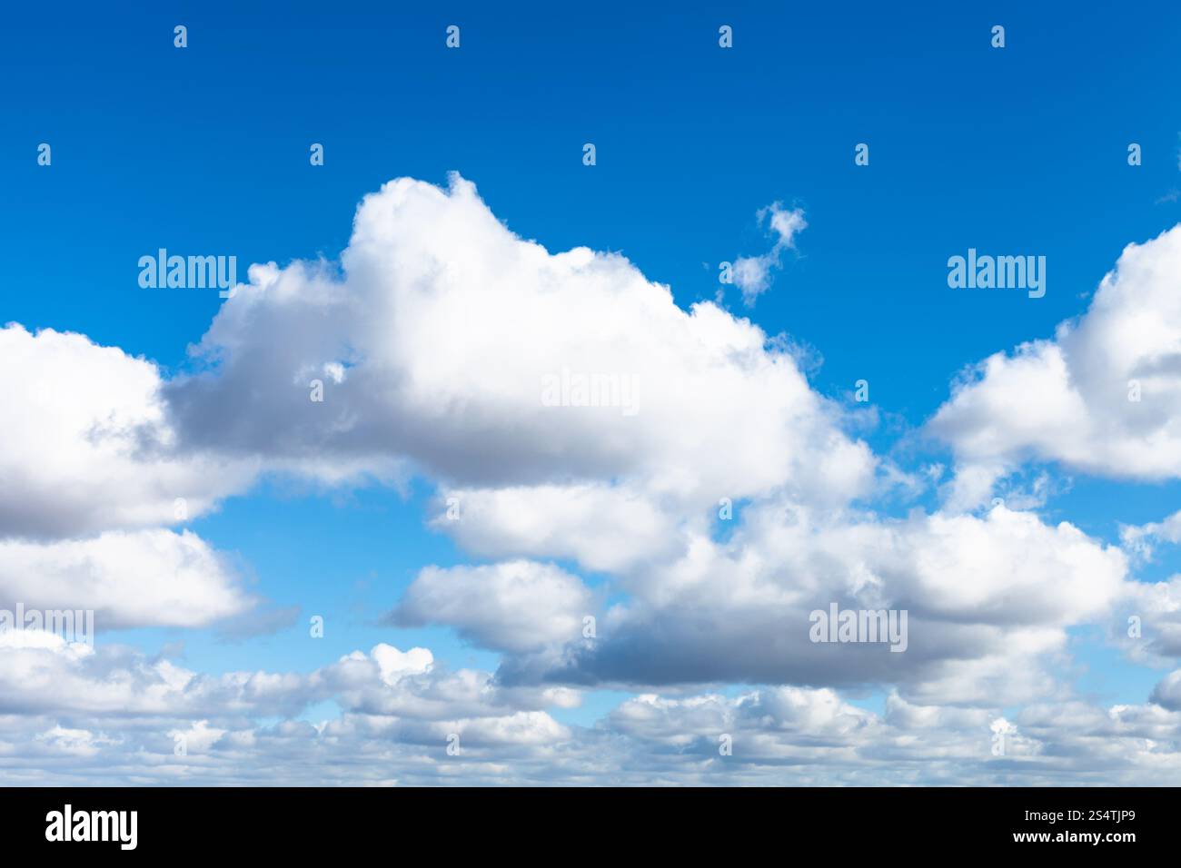 Molti white puffy nuvole nel blu del cielo a molla Foto Stock