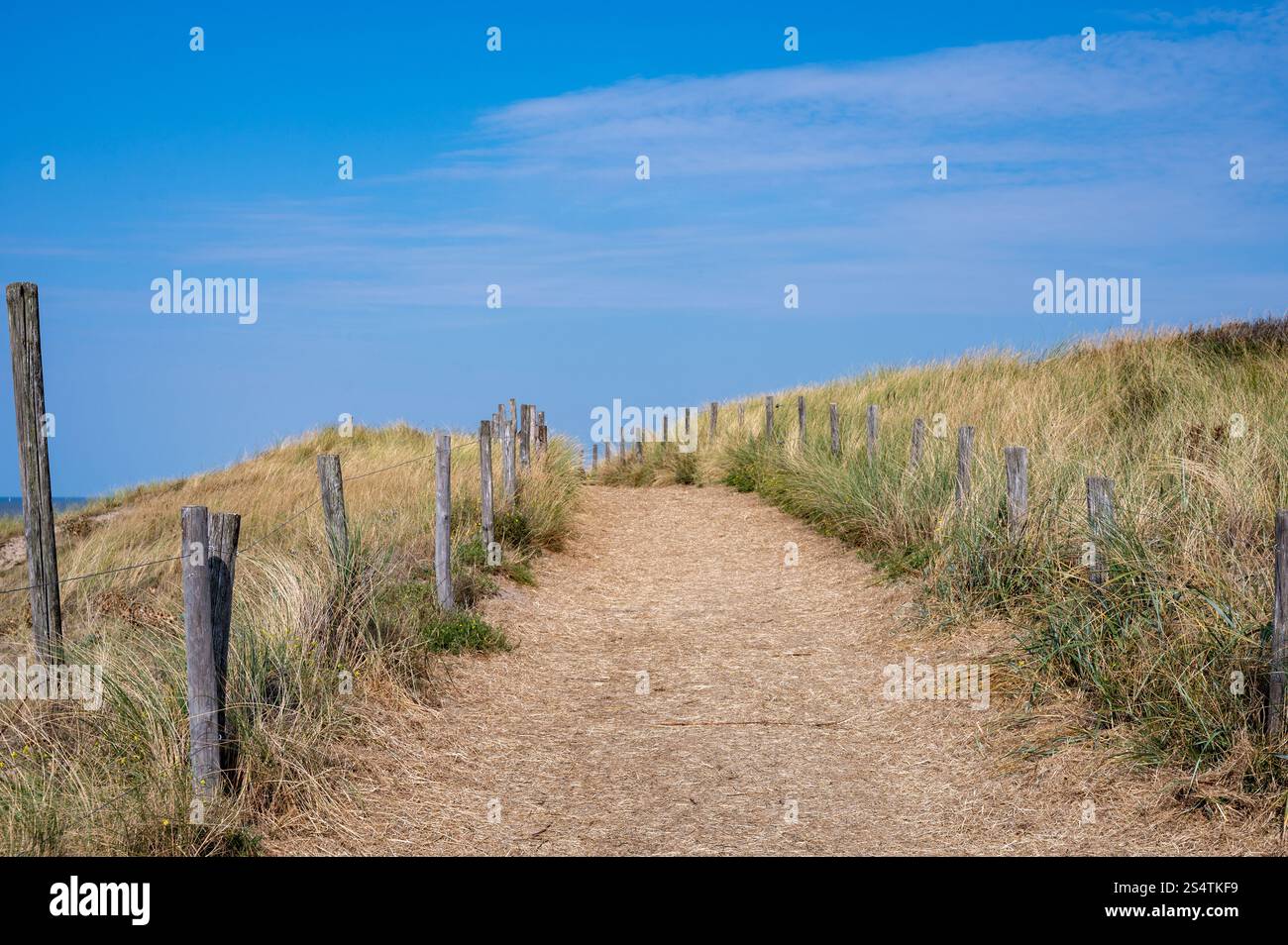 Un percorso attraverso un paesaggio di dune con recinzione e spiaggia sulla costa del Mare del Nord nei Paesi Bassi Foto Stock