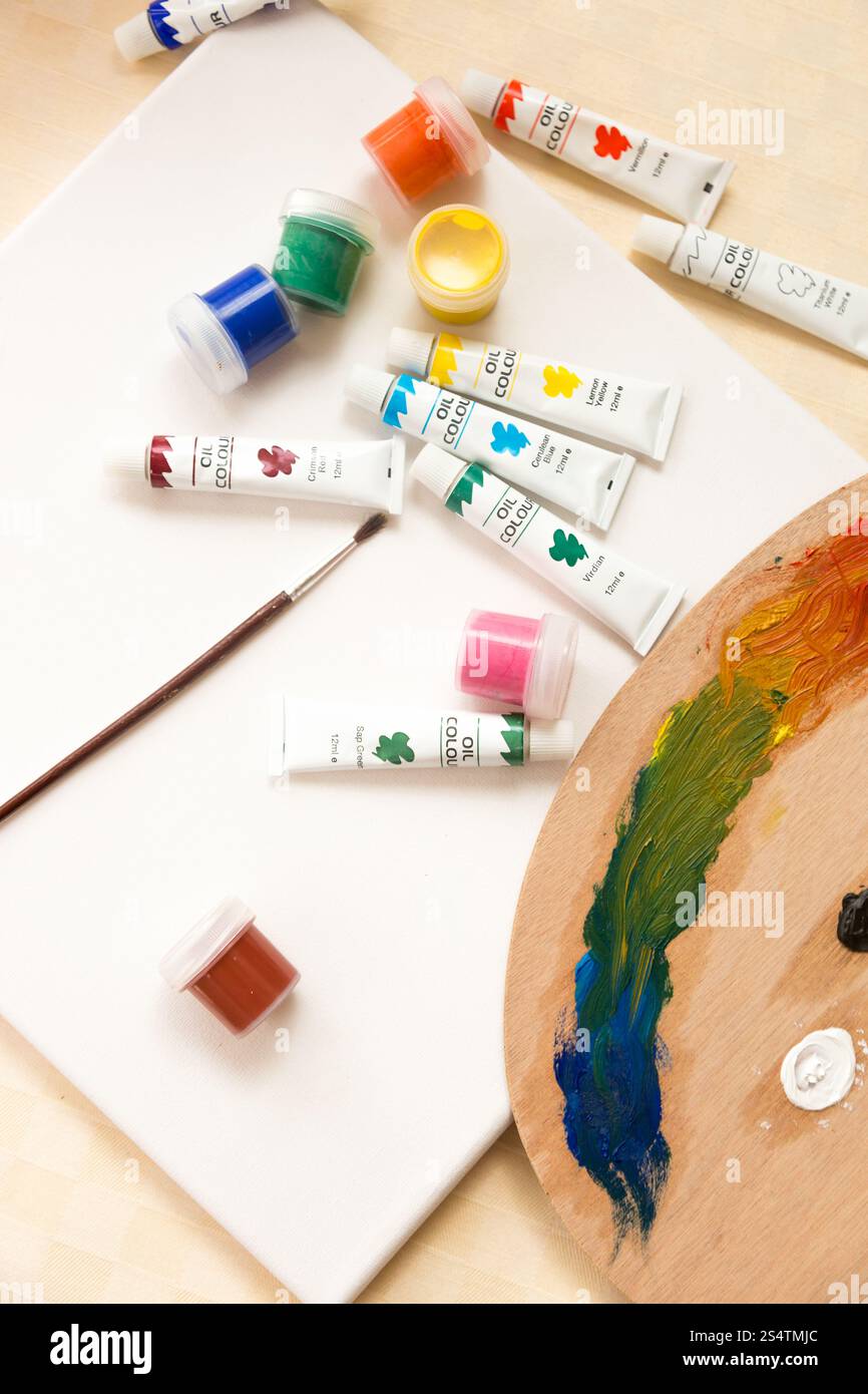 Primo piano del caos di strumenti e di tubi di vernice sulla tela bianca Foto Stock