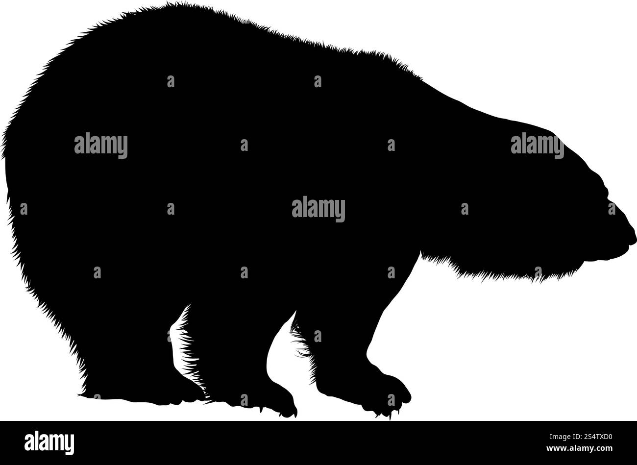 Orso polare Silhouette. Altamente dettagliata Design liscio. Illustrazione Vettoriale. Illustrazione Vettoriale