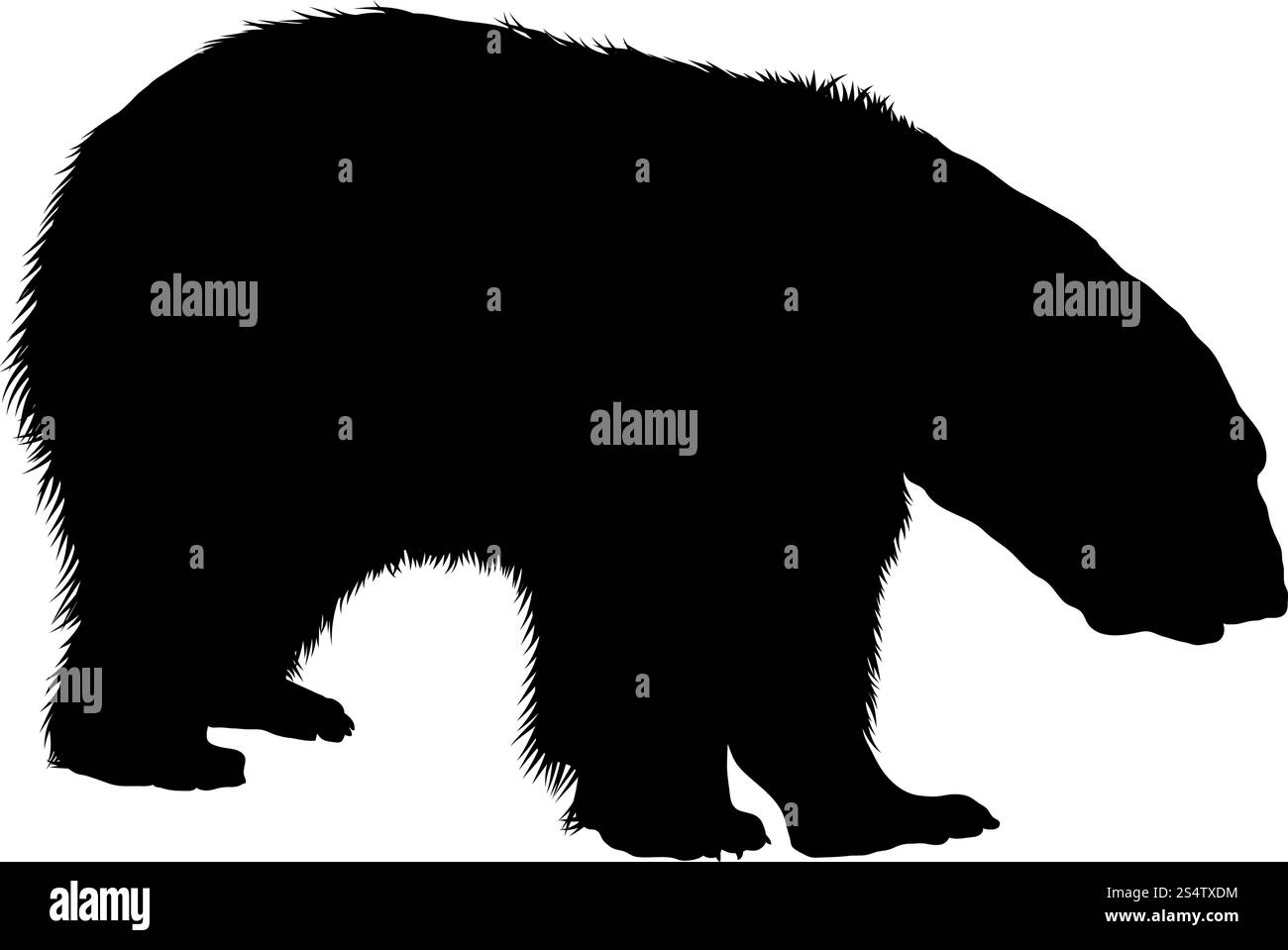 Orso polare Silhouette. Altamente dettagliata Design liscio. Illustrazione Vettoriale. Illustrazione Vettoriale