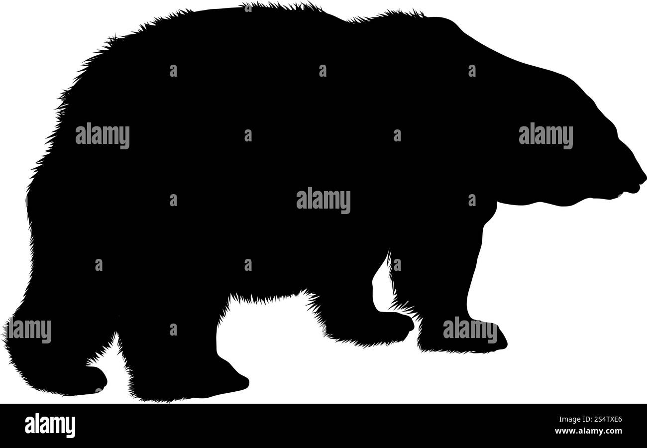 Orso polare Silhouette. Altamente dettagliata Design liscio. Illustrazione Vettoriale. Illustrazione Vettoriale