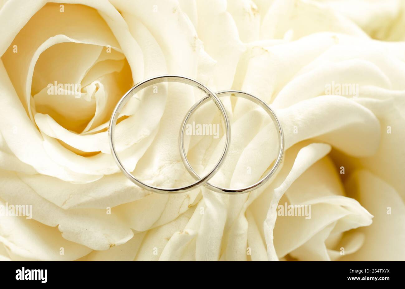 Macro colpo di due anelli di nozze giacente sul bouquet nuziale Foto Stock