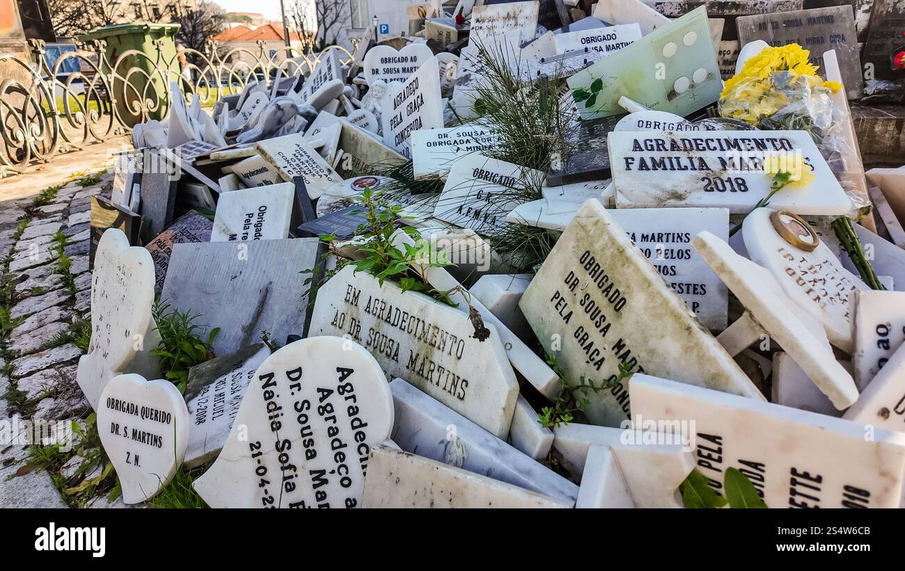 Il monumento a José Tomás de Sousa Martins si trova a campo dos Mártires da Pátria a Lisbona. Onora il rinomato medico e farmacista noto per la sua Foto Stock