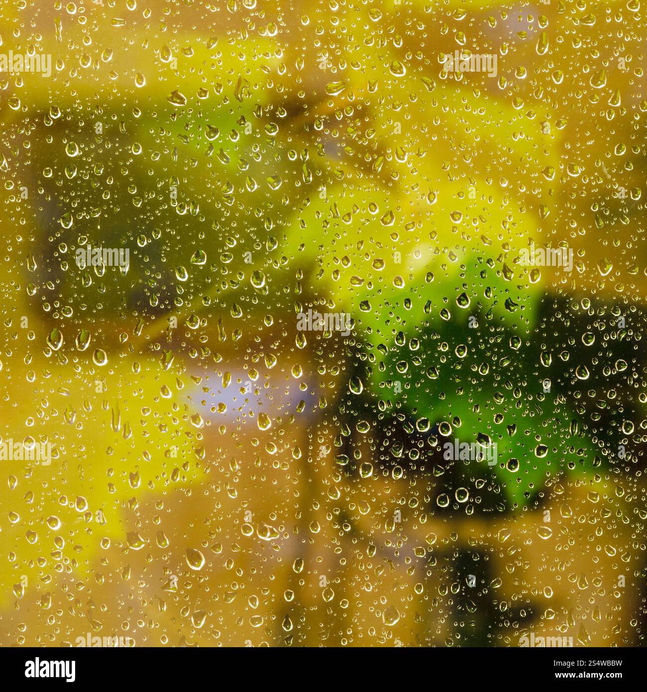 Sfondo giallo da gocce di pioggia sul vetro durante la notte la pioggia Foto Stock