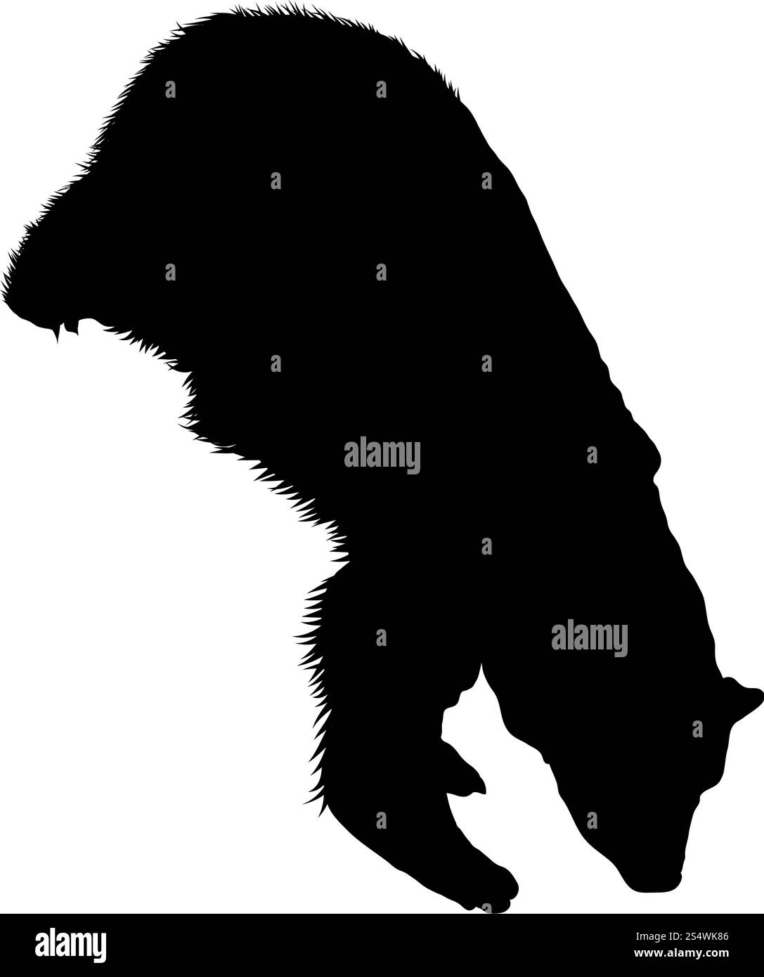 Orso polare Silhouette. Altamente dettagliata Design liscio. Illustrazione Vettoriale. Illustrazione Vettoriale