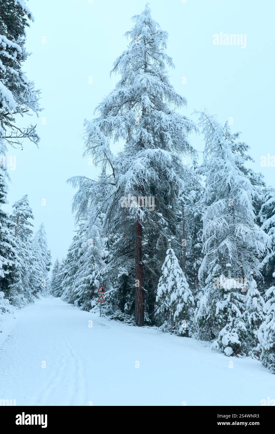 Inverno mountain pass con coperte di neve su strada e alberi innevati (Austria, Tirolo) Foto Stock