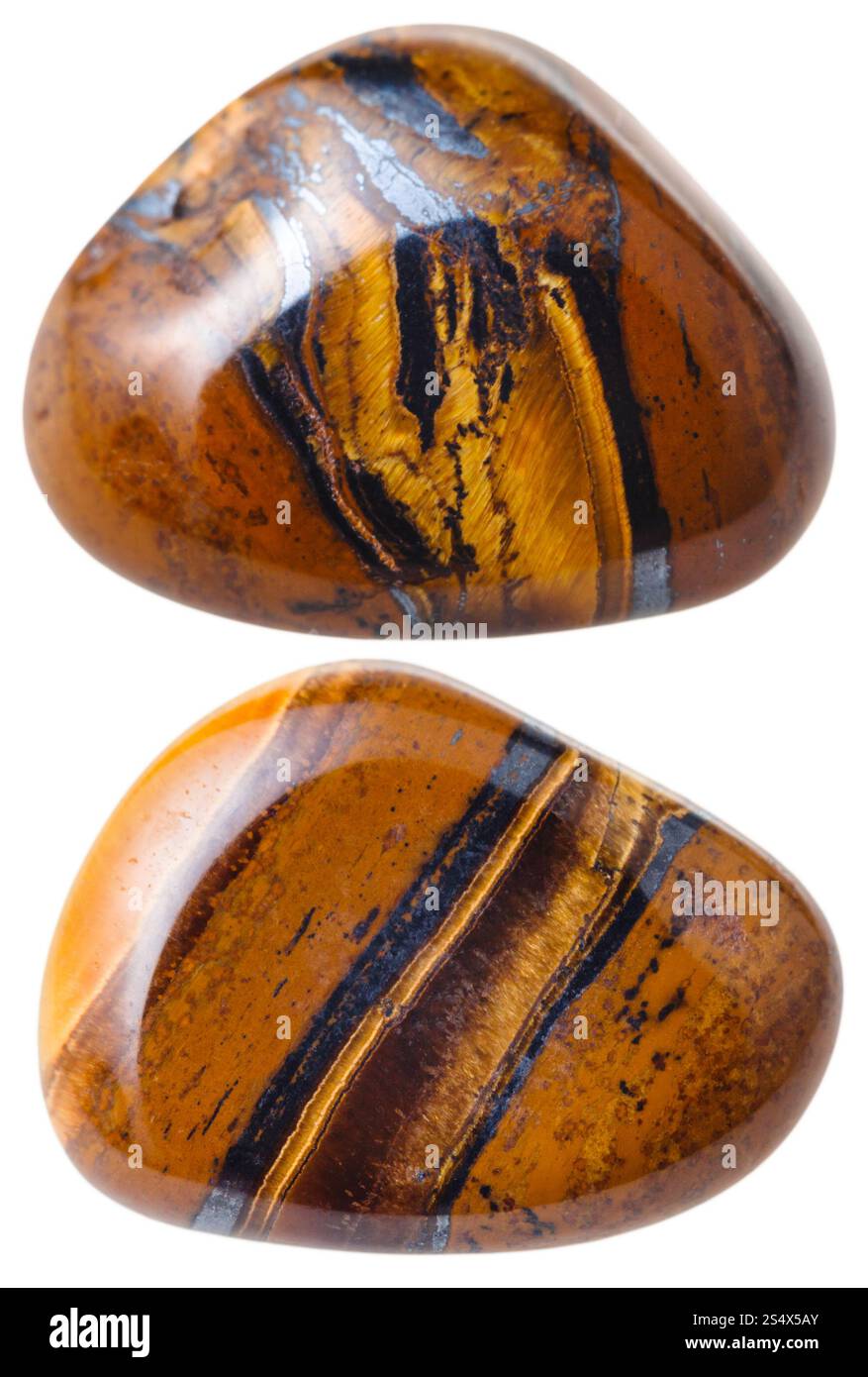 Pietra minerale naturale - due pietre preziose Tigers Eye (Tigers Eye, Tiger Eye) isolate su sfondo bianco da vicino Foto Stock