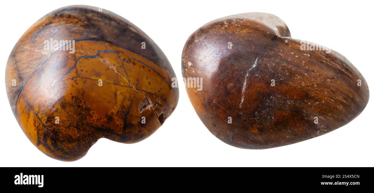 gemme minerali naturali - due gemme di pietra a occhi di tigre isolate su sfondo bianco da vicino Foto Stock