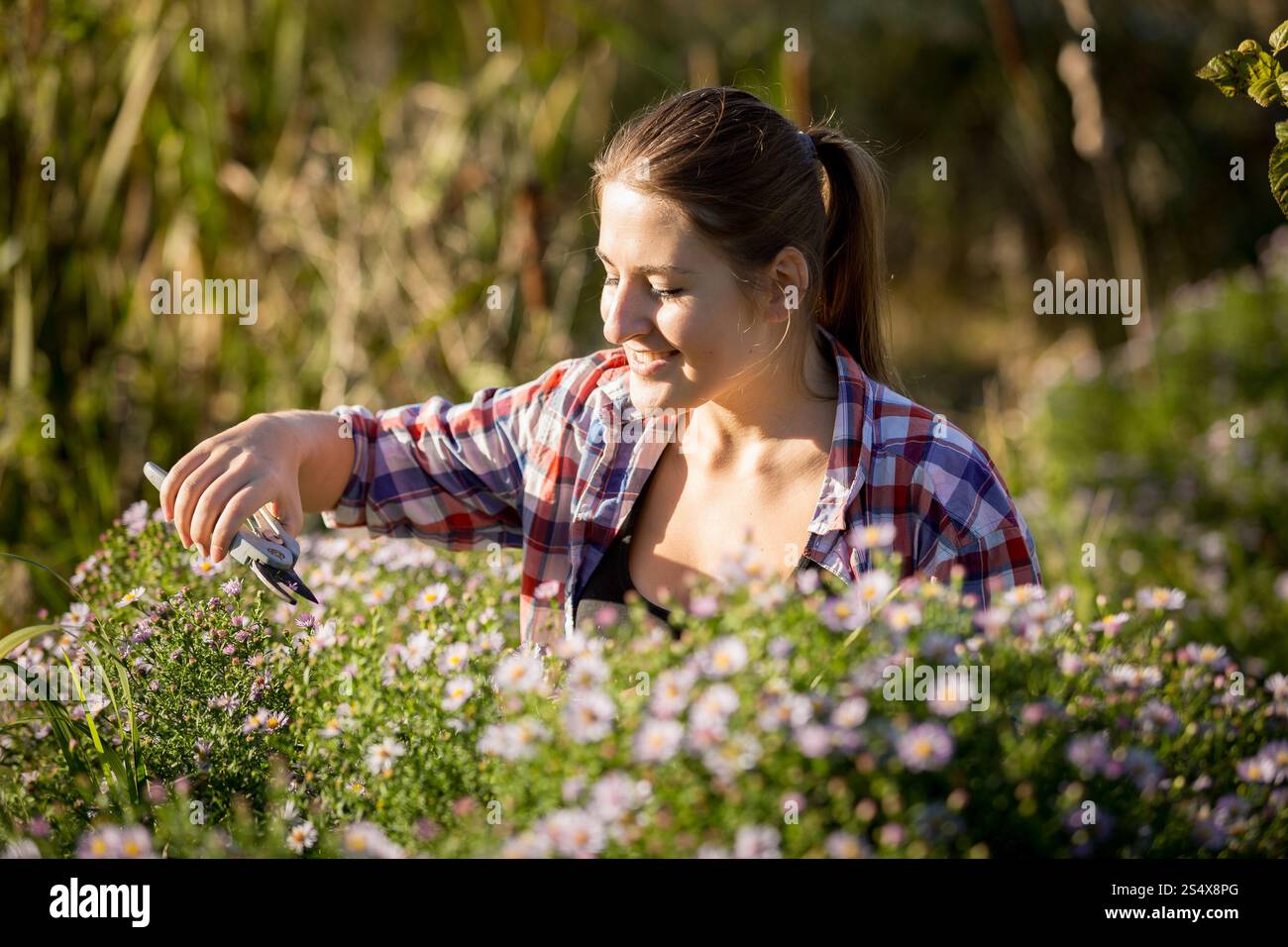 Bella giovane donna la potatura di fiori con forbici da giardino Foto Stock