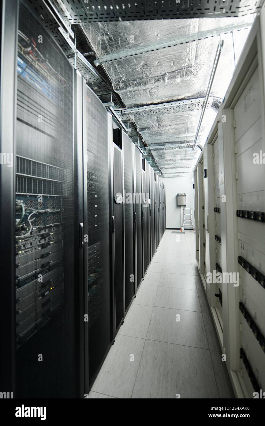 File di server tower e sistemi avanzati creano un ambiente di data center sicuro. Foto Stock