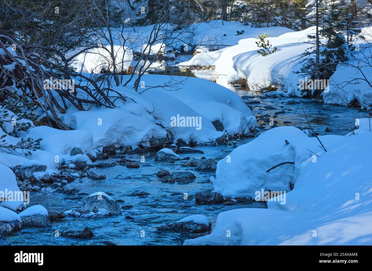 Piccolo ruscello di montagna con il cumulo di neve e il bosco di abeti. Foto Stock