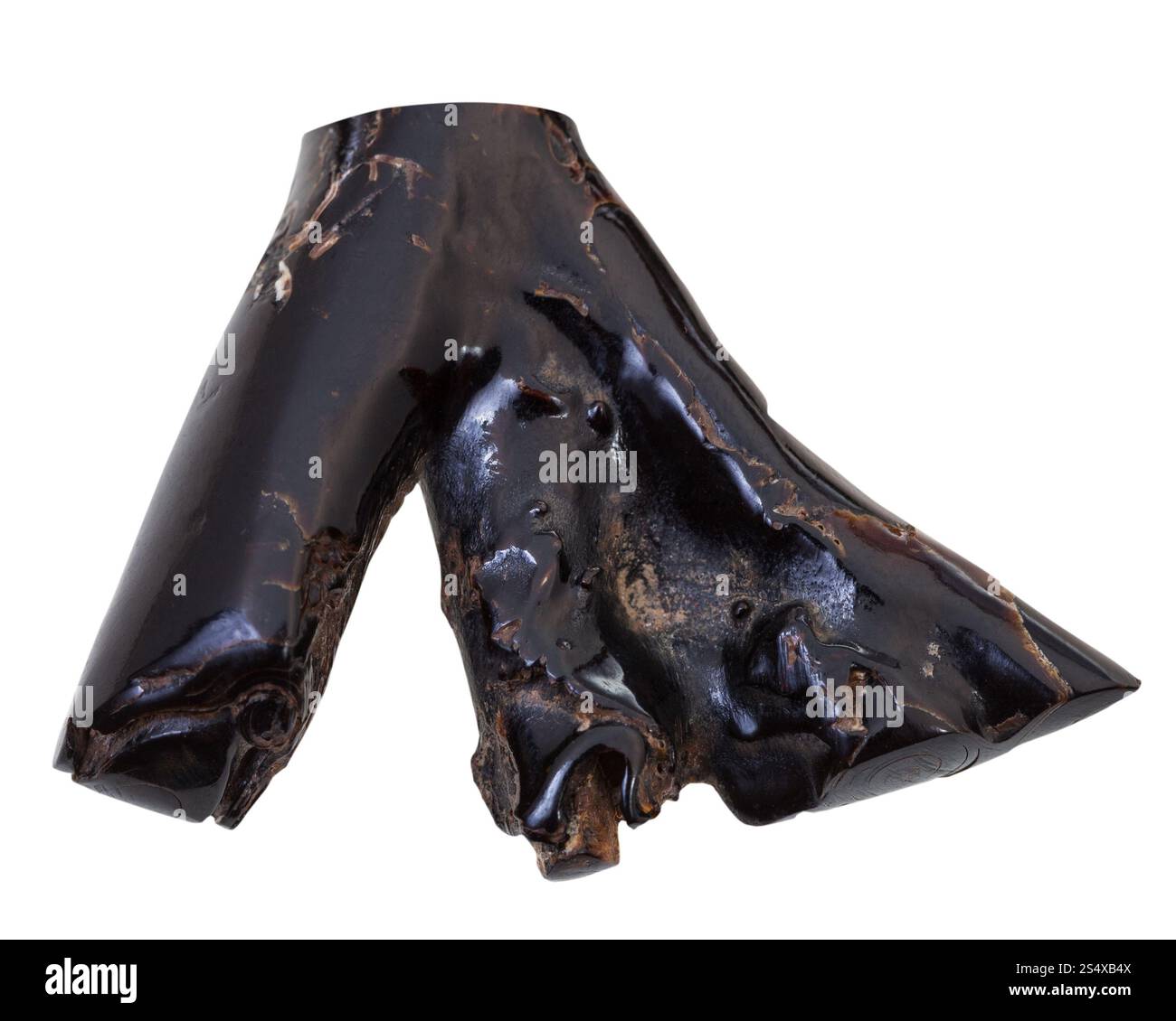 Essiccato rametto di corallo nero per la collana sisolated su sfondo bianco Foto Stock