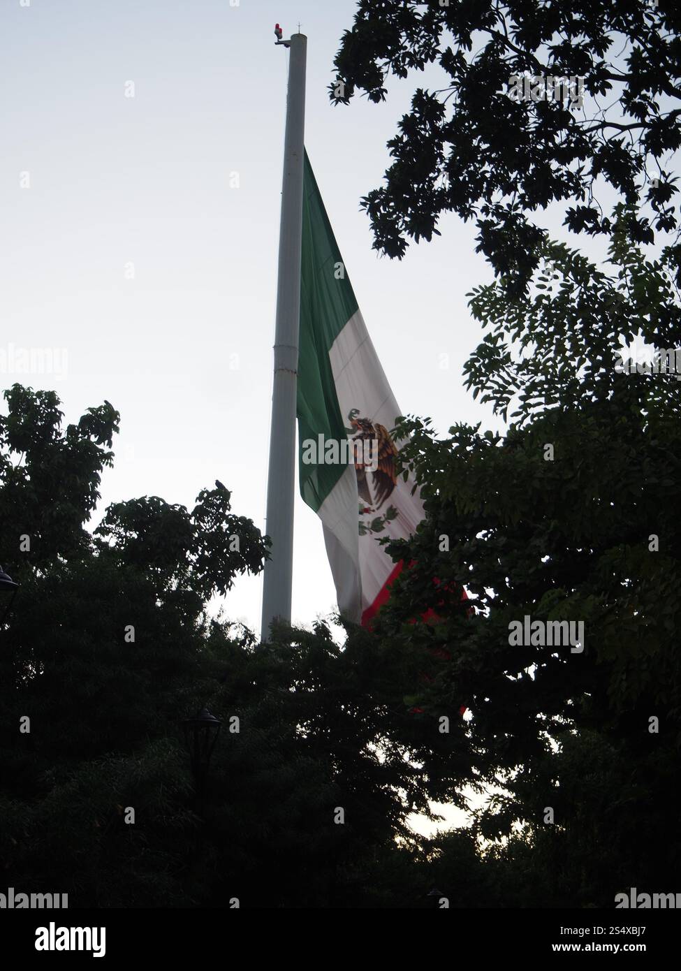 Bandera nacional de México (bandiera nazionale del Messico) a Valladolid il 20 novembre 2023, giorno della Rivoluzione (Aniversario de Revolución Mexicana) Foto Stock
