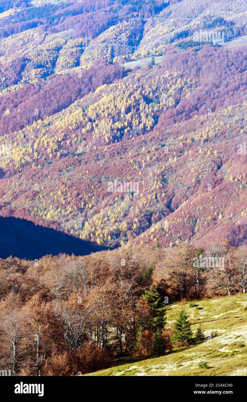 Colorate piste di montagna in autunno Carpazi. Mattina Vista nebbiosa. Foto Stock