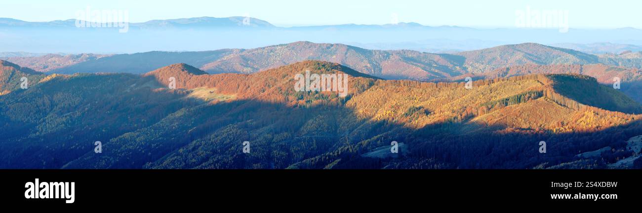 Colorato pendii montani in autunno Carpazi. Mattina nebbiosa panorama. Foto Stock