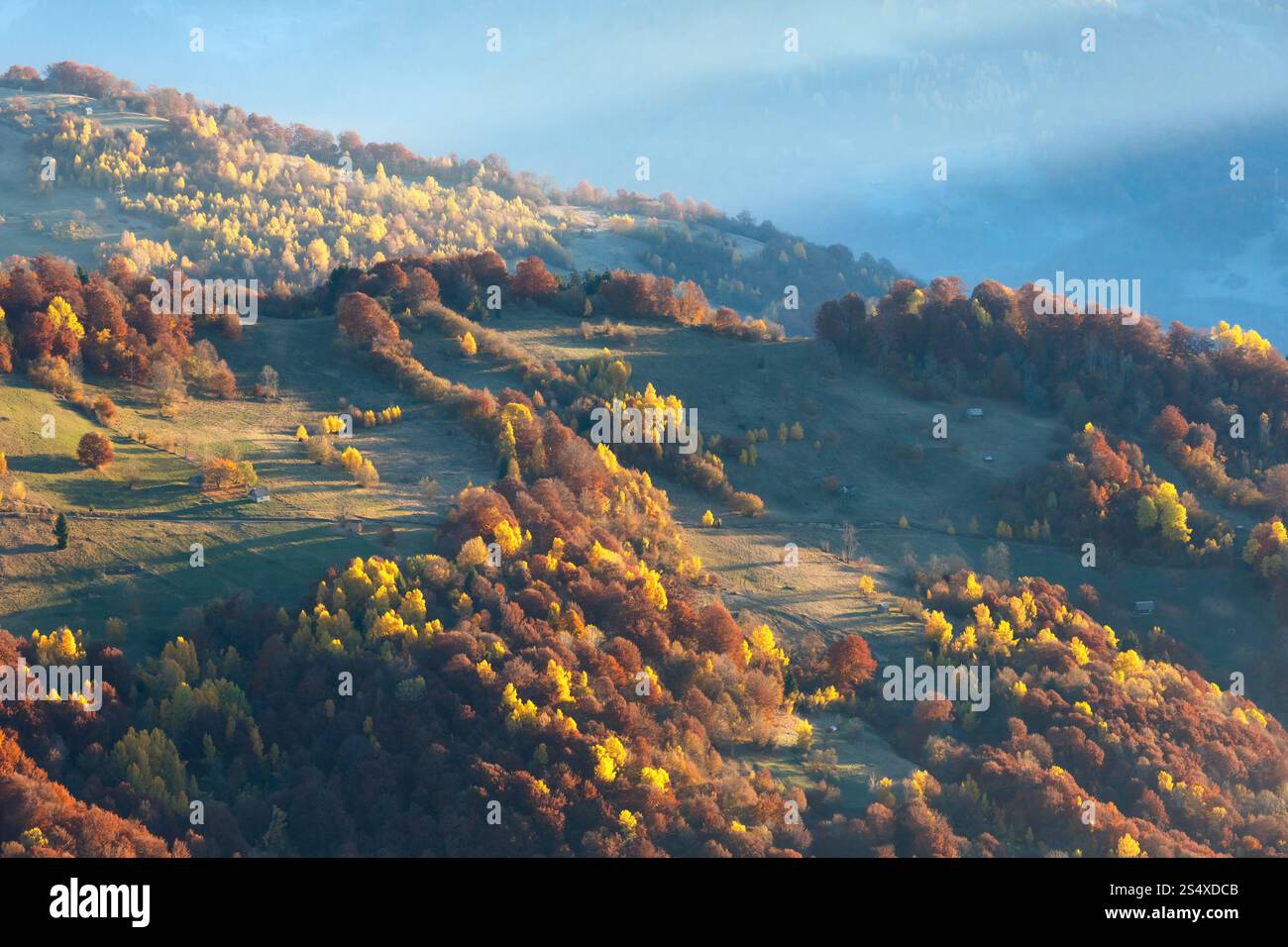 Sunbeam e autunno foschia mattutina vista montagna con alberi colorati sul pendio. Foto Stock