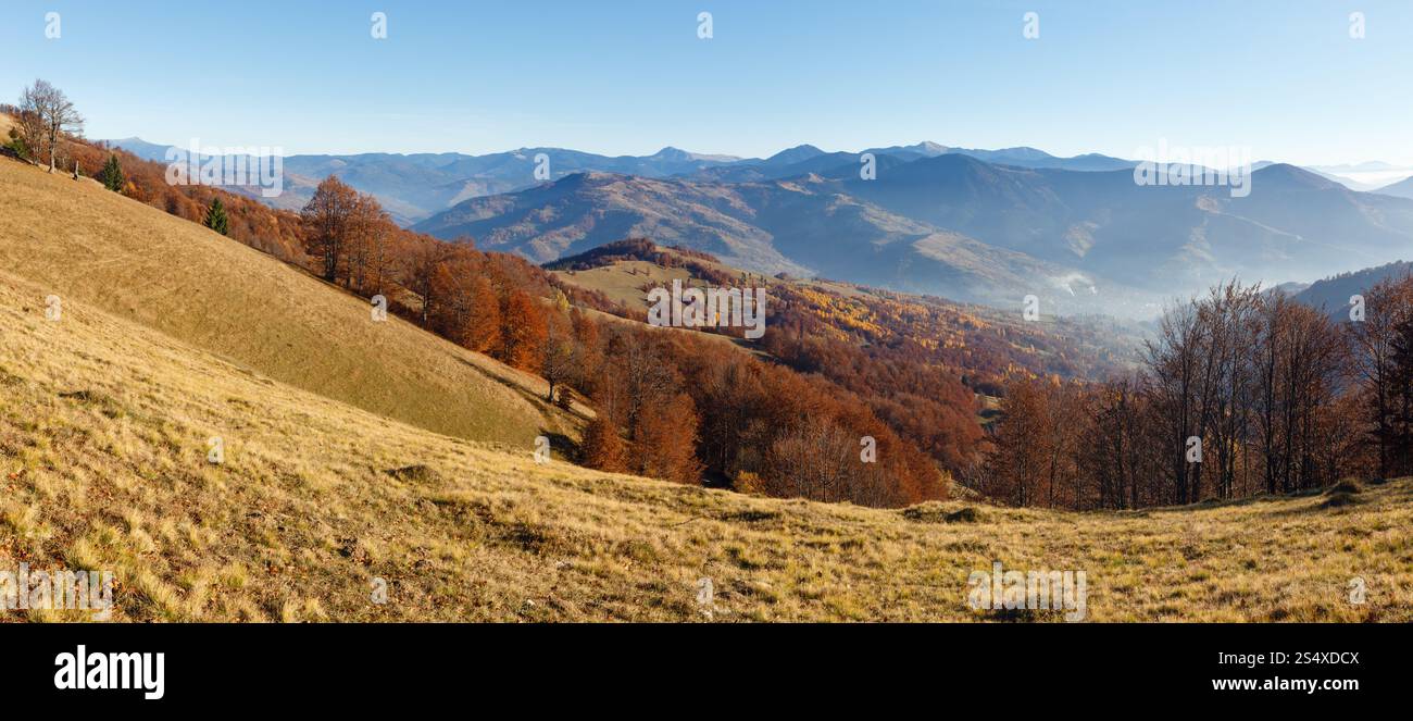 Autunno dei Carpazi paesaggio di montagna con alberi colorati sul pendio e la luce haze. Foto Stock