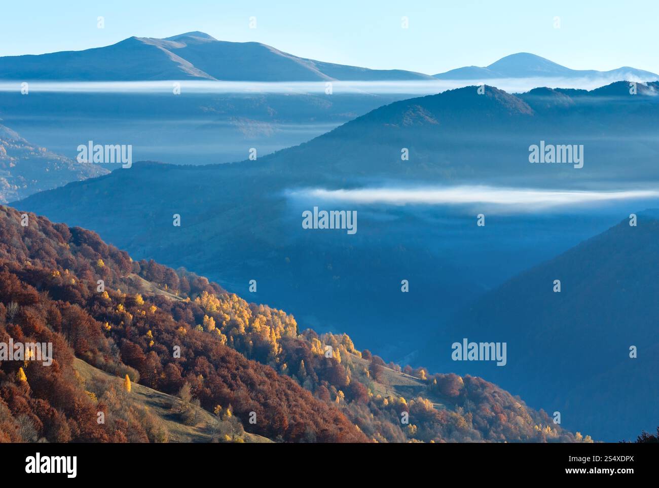 Colorata foresta sul pendio di autunno e nuvole tra i picchi. Foto Stock