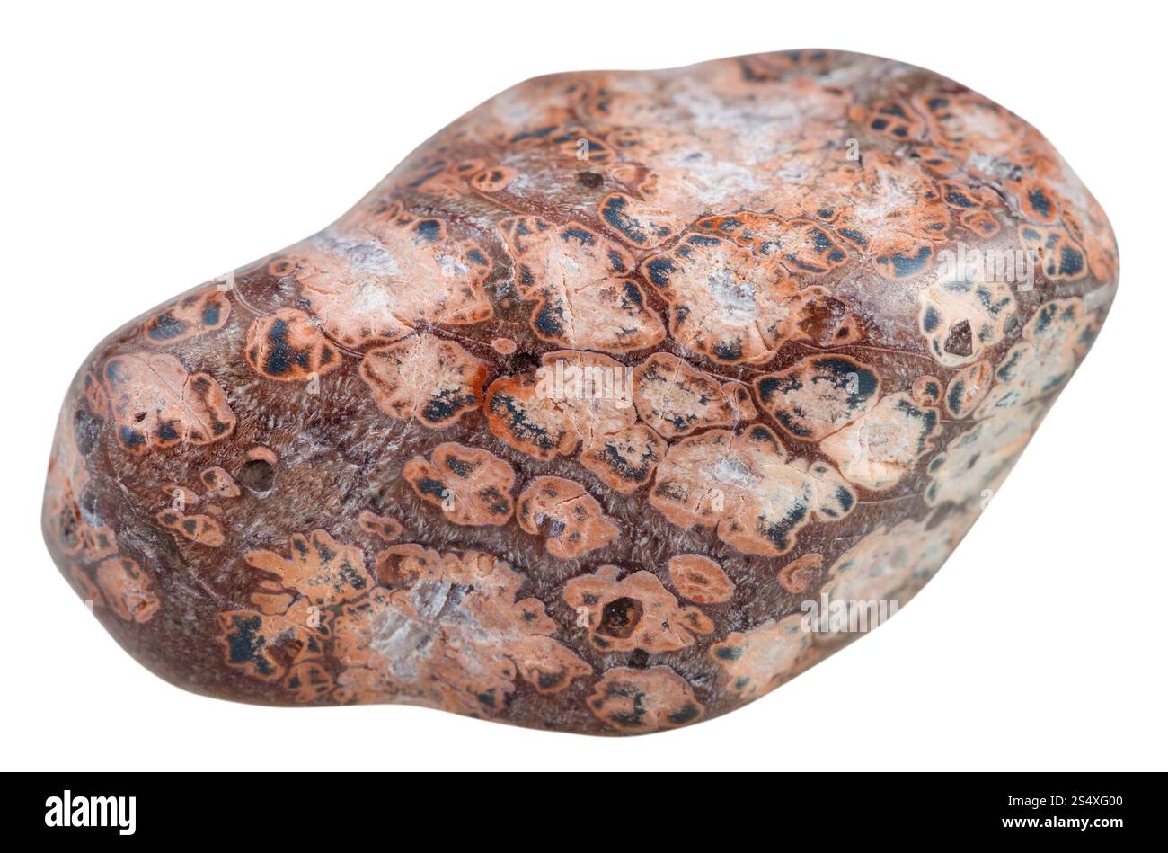 Riprese macro di pietra minerale naturale - pietra preziosa di Jasper (pietra di Jaguar, giaguaro orbicolare) in Madagascar isolata su bianco Foto Stock