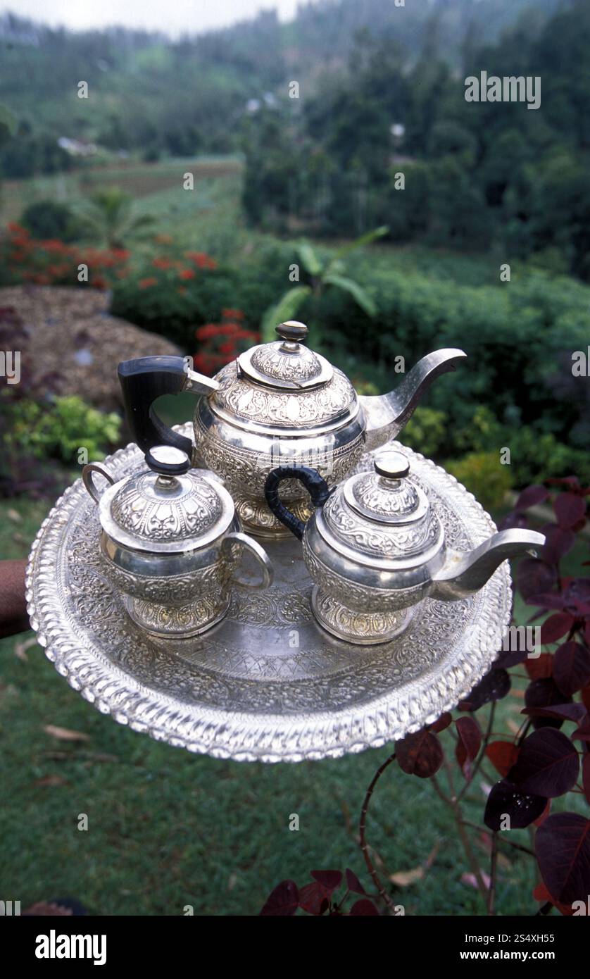 Una teiera in una piantagione di tè nella città di Nuwara Eliya nello Sri Lanka, ad Asien. PIANTAGIONE DI TÈ SRI LANKA NUWARA ELIYA Foto Stock