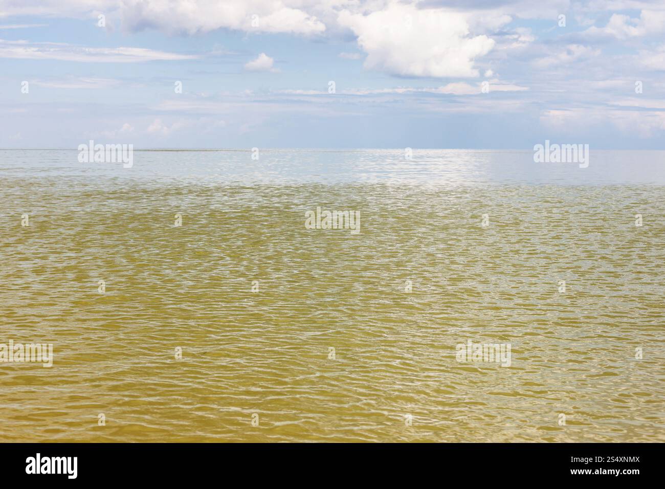 Giallo verde acqua Mare di Azov, Temryuk bay resort Golubitskaya, penisola di Taman, Kuban, Russia Foto Stock