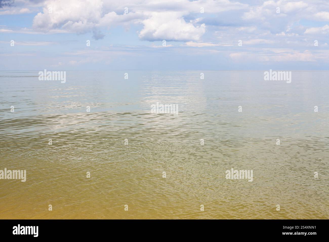 Sfondo naturale - giallo verde acqua calma il Mare di Azov, Temryuk bay resort Golubitskaya, penisola di Taman, Kuban, Russia Foto Stock