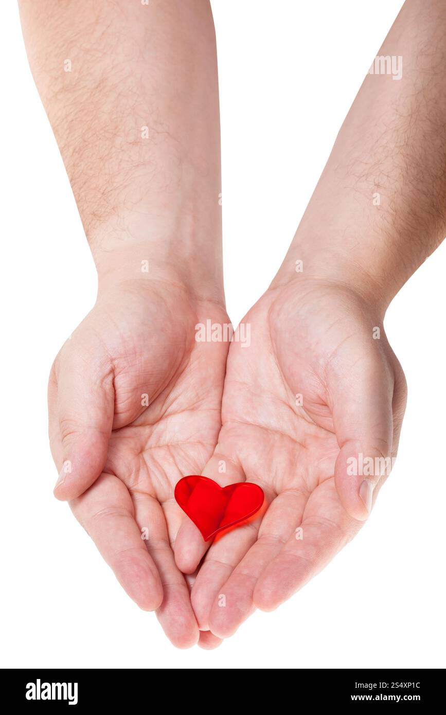 Un cuore rosso sulle palme maschio isolato su sfondo bianco Foto Stock