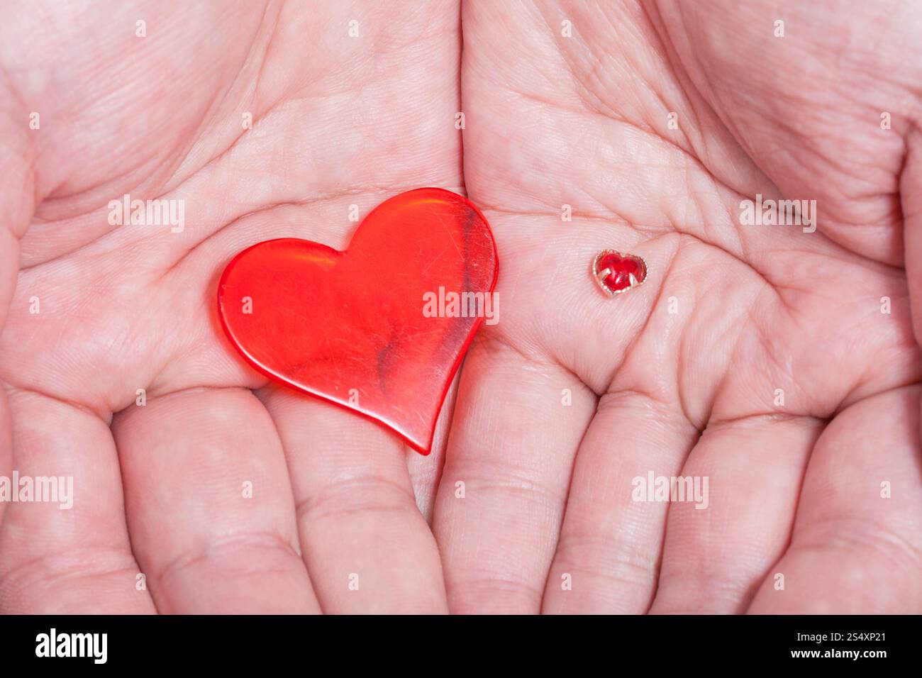 Due cuori rossi maschio in pugno close up Foto Stock