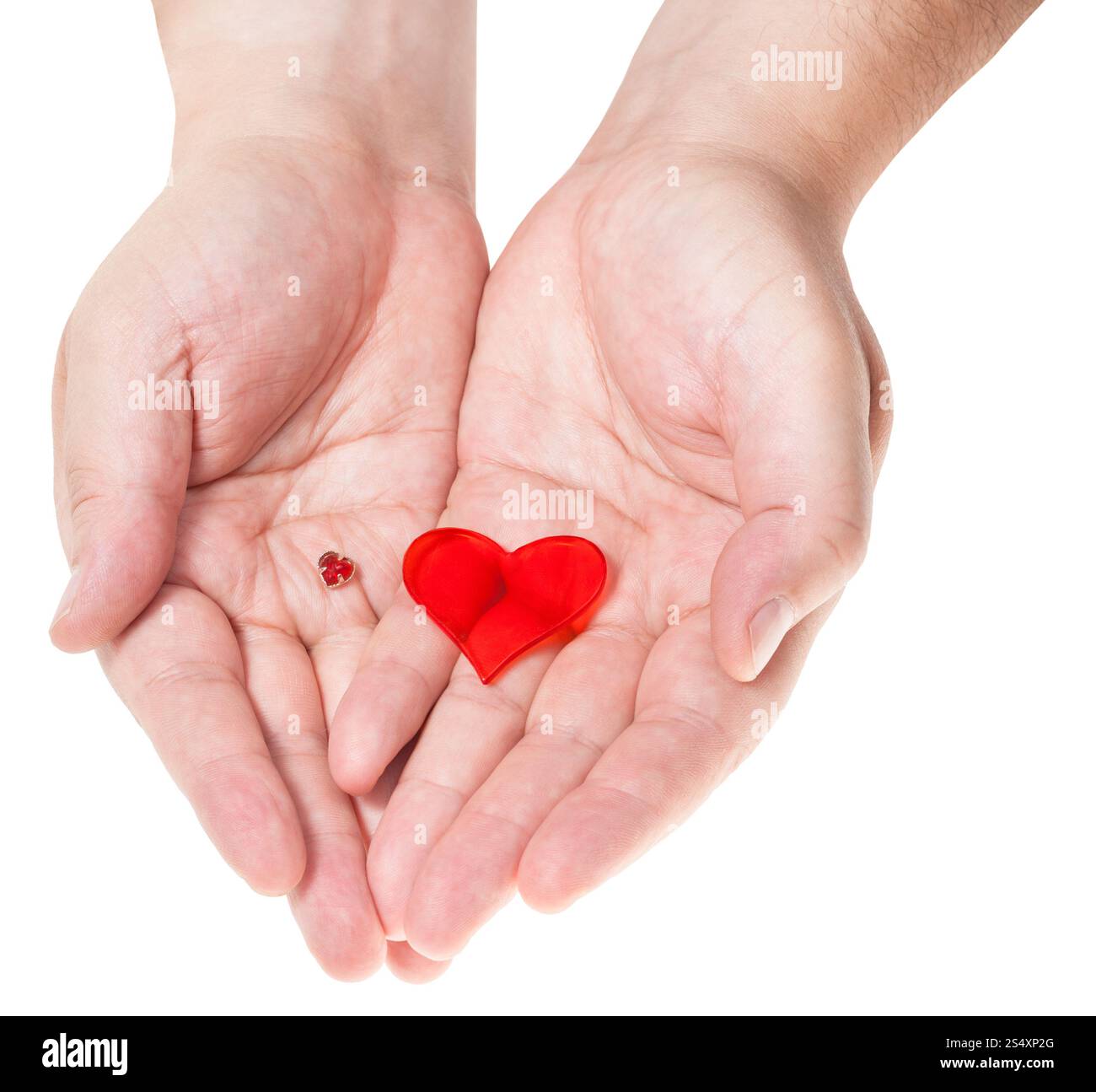Due cuori rossi in una manciata di maschio isolato su sfondo bianco Foto Stock