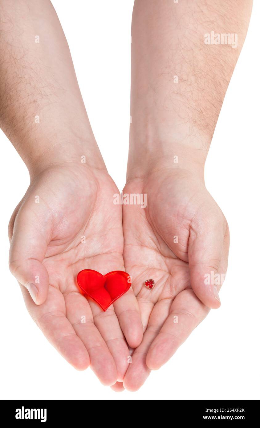Due cuori rossi su palme maschio isolato su sfondo bianco Foto Stock