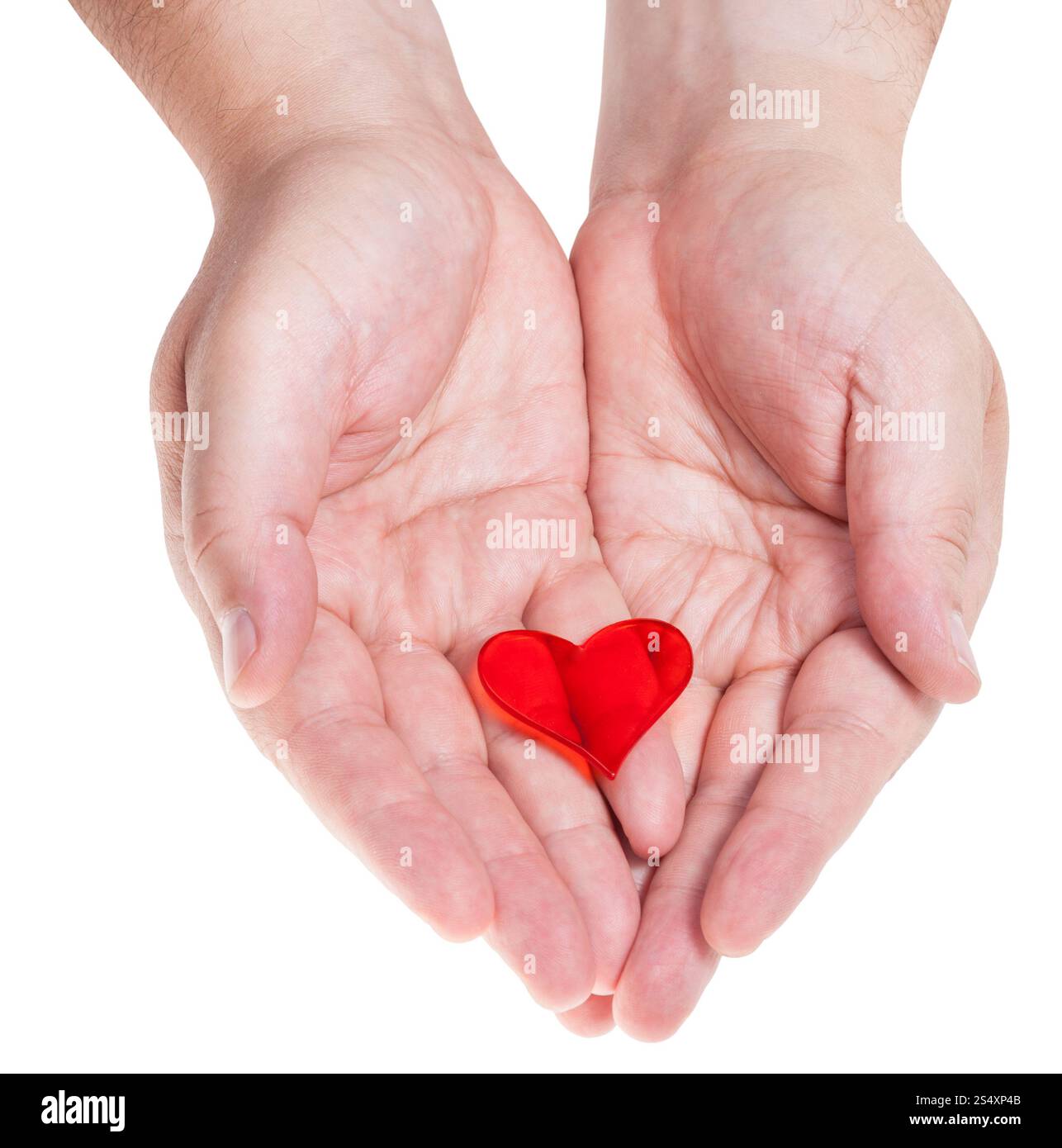Cuore rosso sulle palme maschio isolato su sfondo bianco Foto Stock