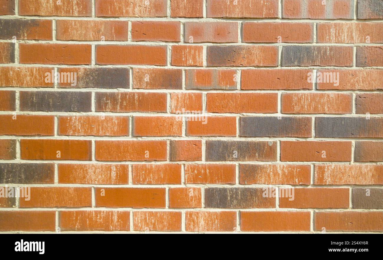 Texture della nuova red muro di mattoni Foto Stock