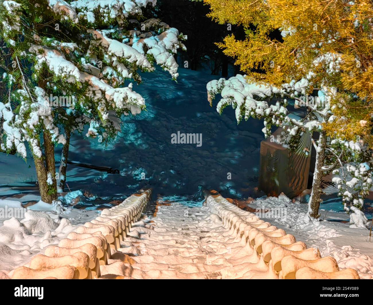 Sentiero notturno innevato: Scale in cemento incorniciate da alberi invernali Foto Stock