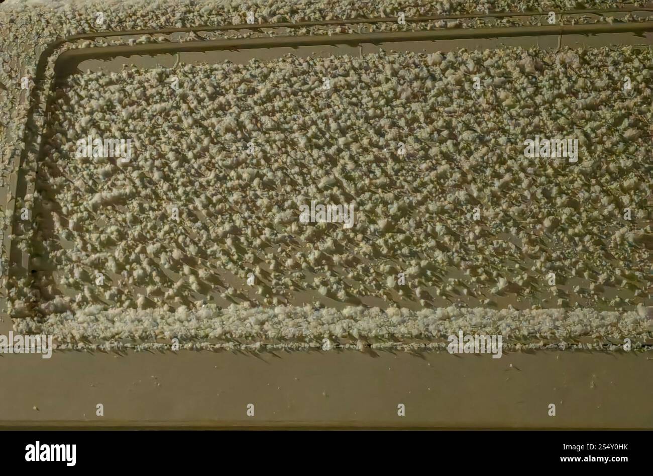 Fiocchi di neve su un'auto di notte: L'arte ghiacciata dell'inverno Foto Stock