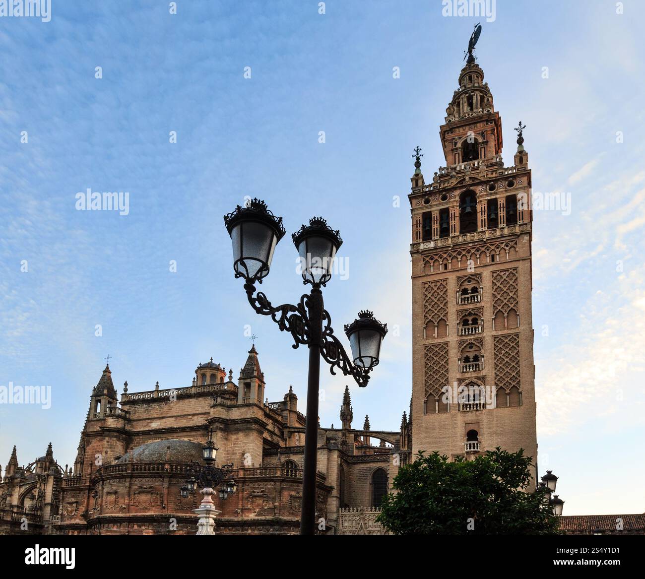 La Giralda torre campanaria in serata nella città di Siviglia, Spagna. Costruito nel 1184-1198. Foto Stock